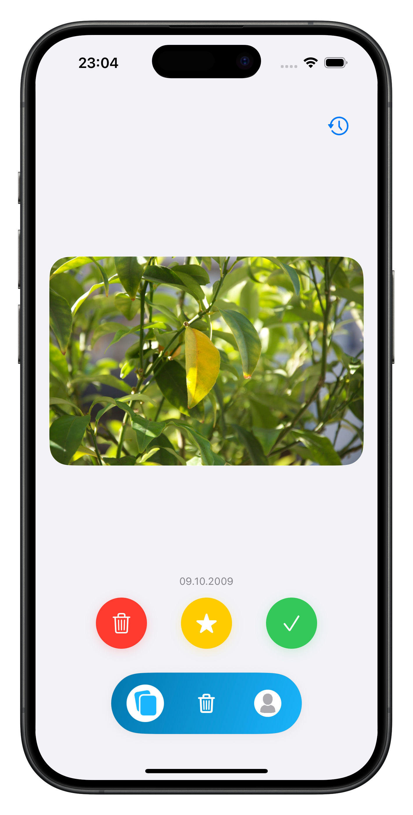 Sortery App Screenshot